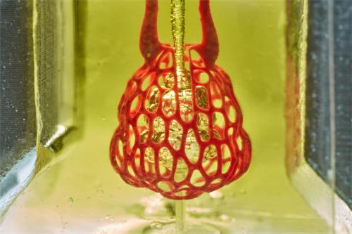 Bioengineers 3D打印复杂的血管网络