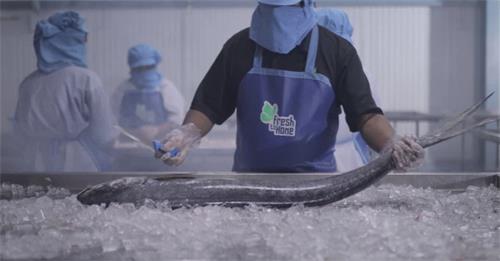 印度的FreshToHome筹集了1100万美元 用于扩展其鱼肉和蔬菜电子商务平台