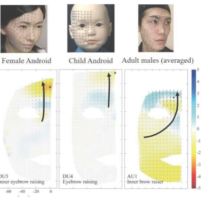 对人脸和安卓人脸的比较分析可能会带来改进