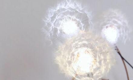 DandelightLED灯的独特设计都在哪里
