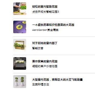 2021年适合所有类型园丁的最佳室内花园