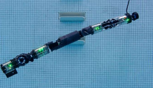 Biorobotics实验室制造潜水机器人蛇