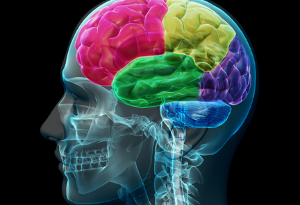 纳米级记忆细胞使研究人员更接近开发仿生大脑