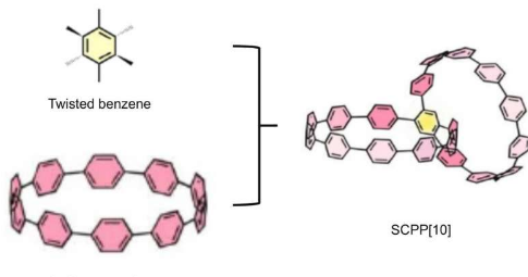 研究人员首先合成了具有所有亚苯基单元的连体双大环