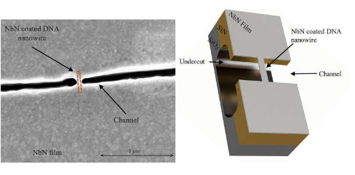 DNA折纸使制造超导纳米线成为可能