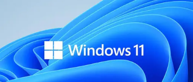 微软的Windows11系统要求引起了轰动尤其是因为看似随意的处理器限制