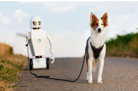 机器人是一种人工智能机器看起来像动物
