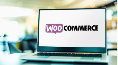 WordPress插件WooCommerce激活其在欧洲的支付服务