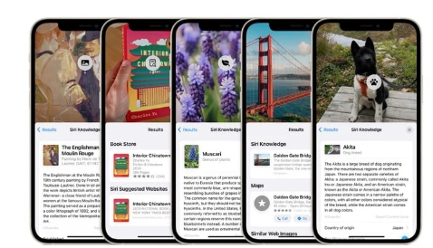苹果向开发者发布iOS15beta6