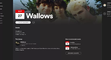 Spotify担心价格上涨会助长音乐盗版