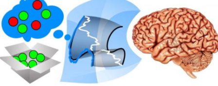 人工智能帮助科学家了解想法背后的大脑活动