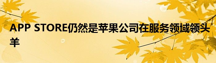 APP STORE仍然是苹果公司在服务领域领头羊