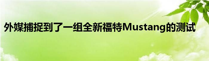 外媒捕捉到了一组全新福特Mustang的测试