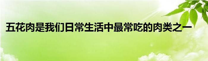 五花肉是我们日常生活中最常吃的肉类之一