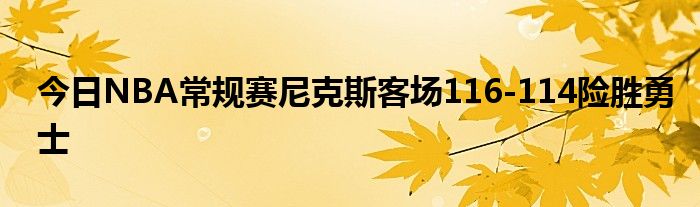 今日NBA常规赛尼克斯客场116-114险胜勇士