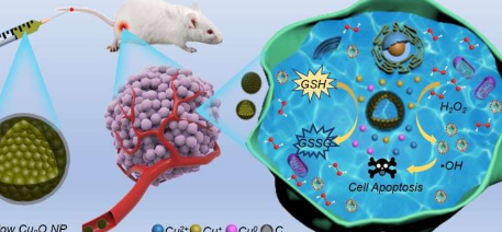 纳米胶囊为有效的癌症化学动力学治疗提供了新的解决方案