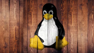 终于有一个原生支持苹果M1系列的Linux发行版了