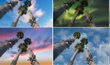 Adobe推出Photoshop测试版计划