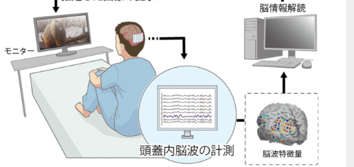 科学家们看到了研究参与者在他们脑海中的画面