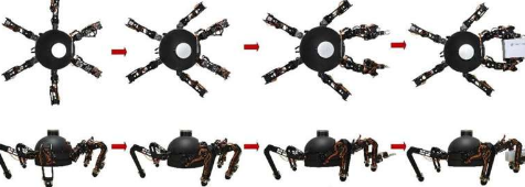 ALLOMAN六足机器人是一种腿臂一体的新型多功能平台