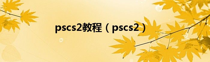 pscs2教程（pscs2）