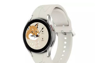GalaxyWatch4早早获得了更智能的Google助理但其余的在哪里