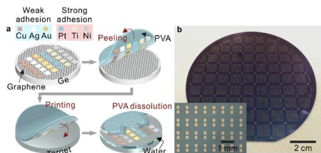 一种在晶圆级上集成金属电极和二维材料的转移印刷技术