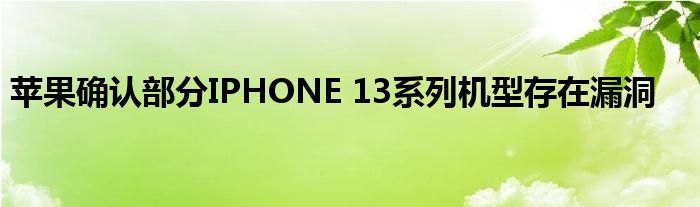 苹果确认部分IPHONE 13系列机型存在漏洞