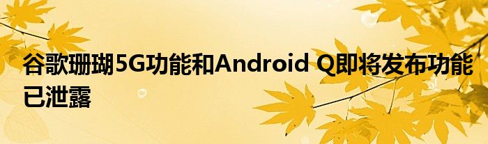 谷歌珊瑚5G功能和Android Q即将发布功能已泄露