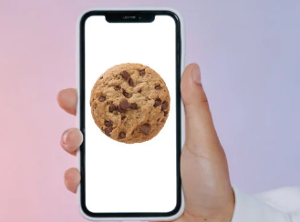 删除iPhone上的cookie