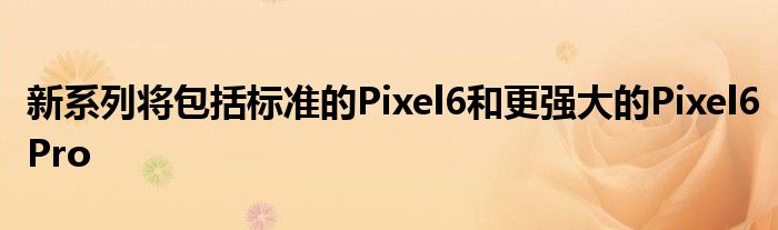 新系列将包括标准的Pixel6和更强大的Pixel6Pro