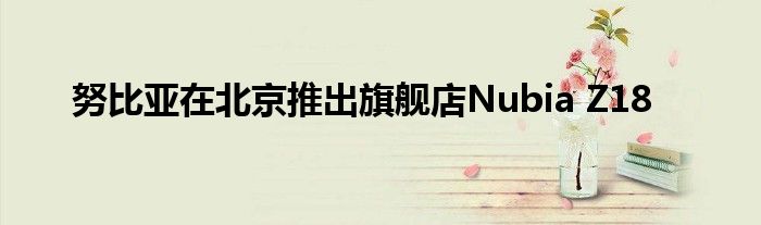 努比亚在北京推出旗舰店Nubia Z18