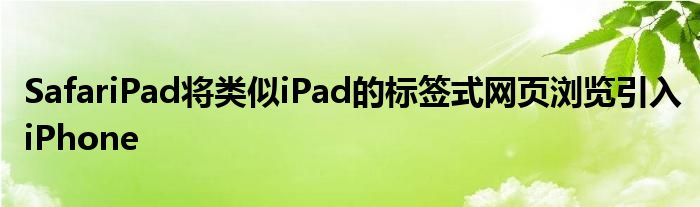 SafariPad将类似iPad的标签式网页浏览引入iPhone