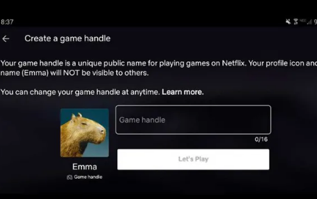 Netflix正在开发玩家代号