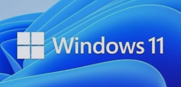 Windows 11 2022 更新带有一个奇怪的任务管理器错误