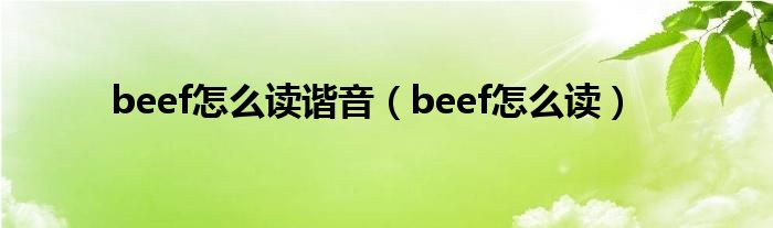 beef怎么读谐音（beef怎么读）