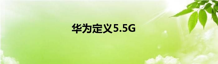 华为定义5.5G
