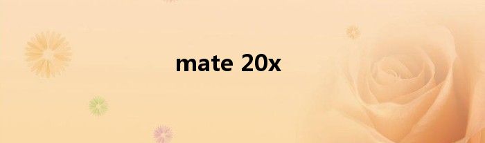 mate 20x