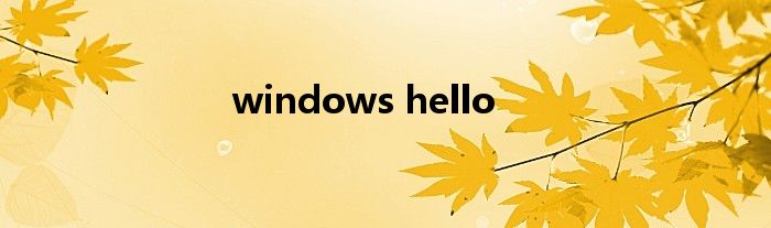 windows hello