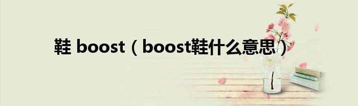 鞋 boost（boost鞋什么意思）