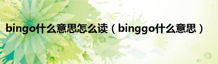 bingo什么意思怎么读（binggo什么意思）