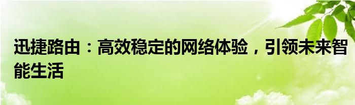 迅捷路由：高效稳定的网络体验，引领未来智能生活