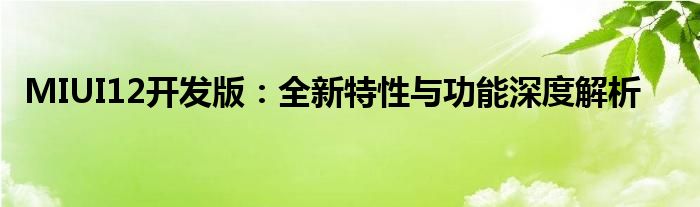 MIUI12开发版：全新特性与功能深度解析