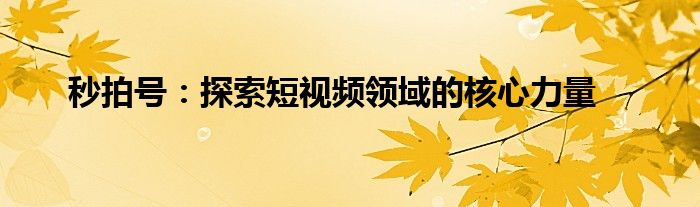 秒拍号：探索短视频领域的核心力量