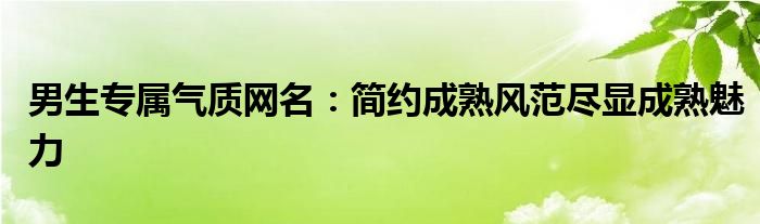 男生专属气质网名：简约成熟风范尽显成熟魅力