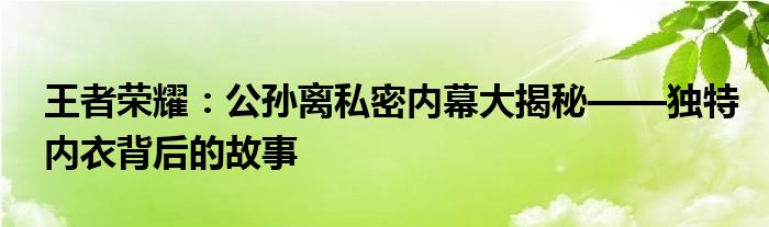 王者荣耀：公孙离私密内幕大揭秘——独特内衣背后的故事