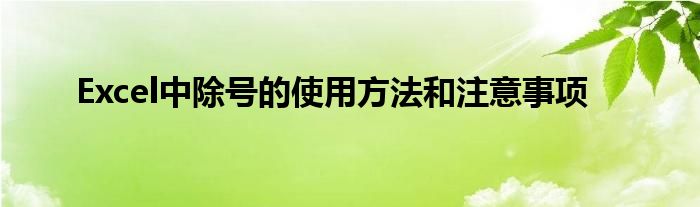 Excel中除号的使用方法和注意事项