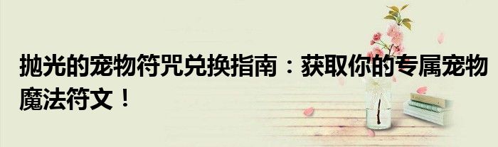 抛光的宠物符咒兑换指南：获取你的专属宠物魔法符文！
