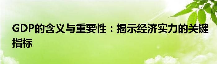GDP的含义与重要性：揭示经济实力的关键指标