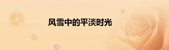 风雪中的平淡时光